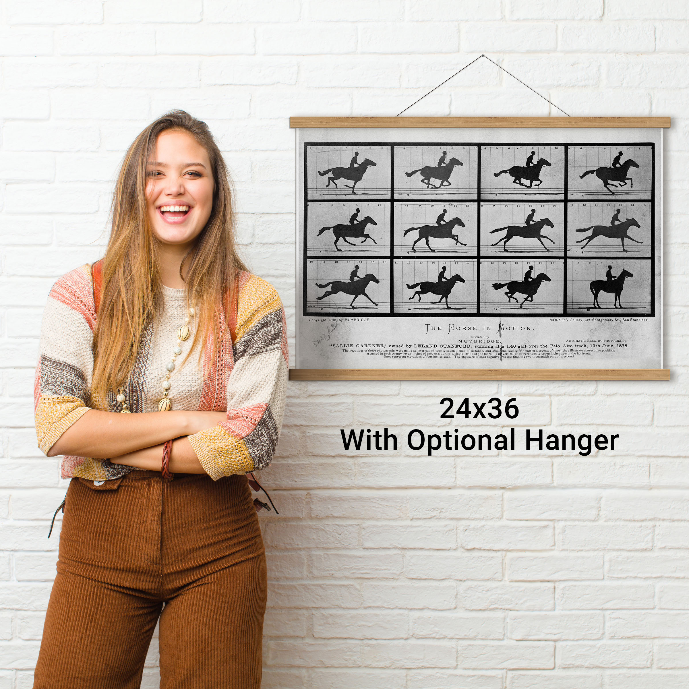 The Horse in Motion, Photographs by Eadweard Muybridge, 1876 - Picture 11 of 12