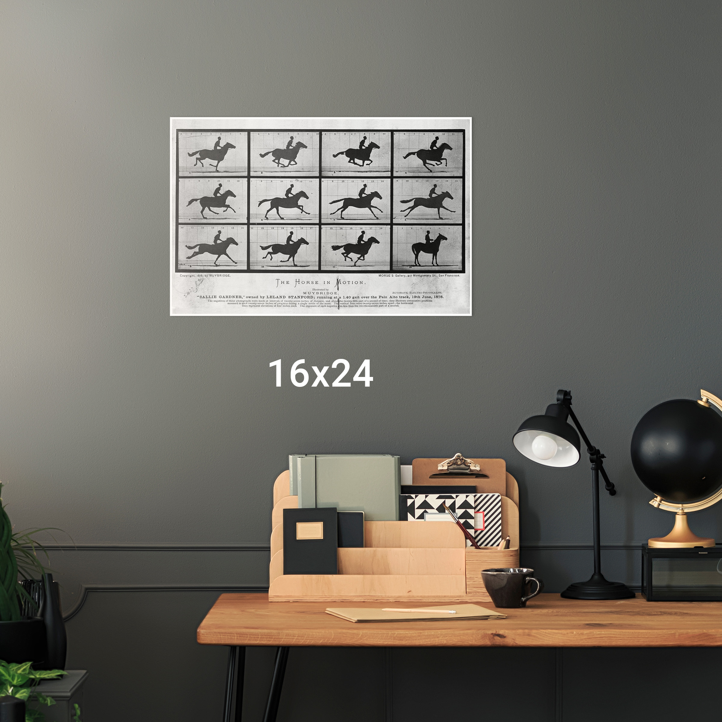 The Horse in Motion, Photographs by Eadweard Muybridge, 1876 - Picture 10 of 12