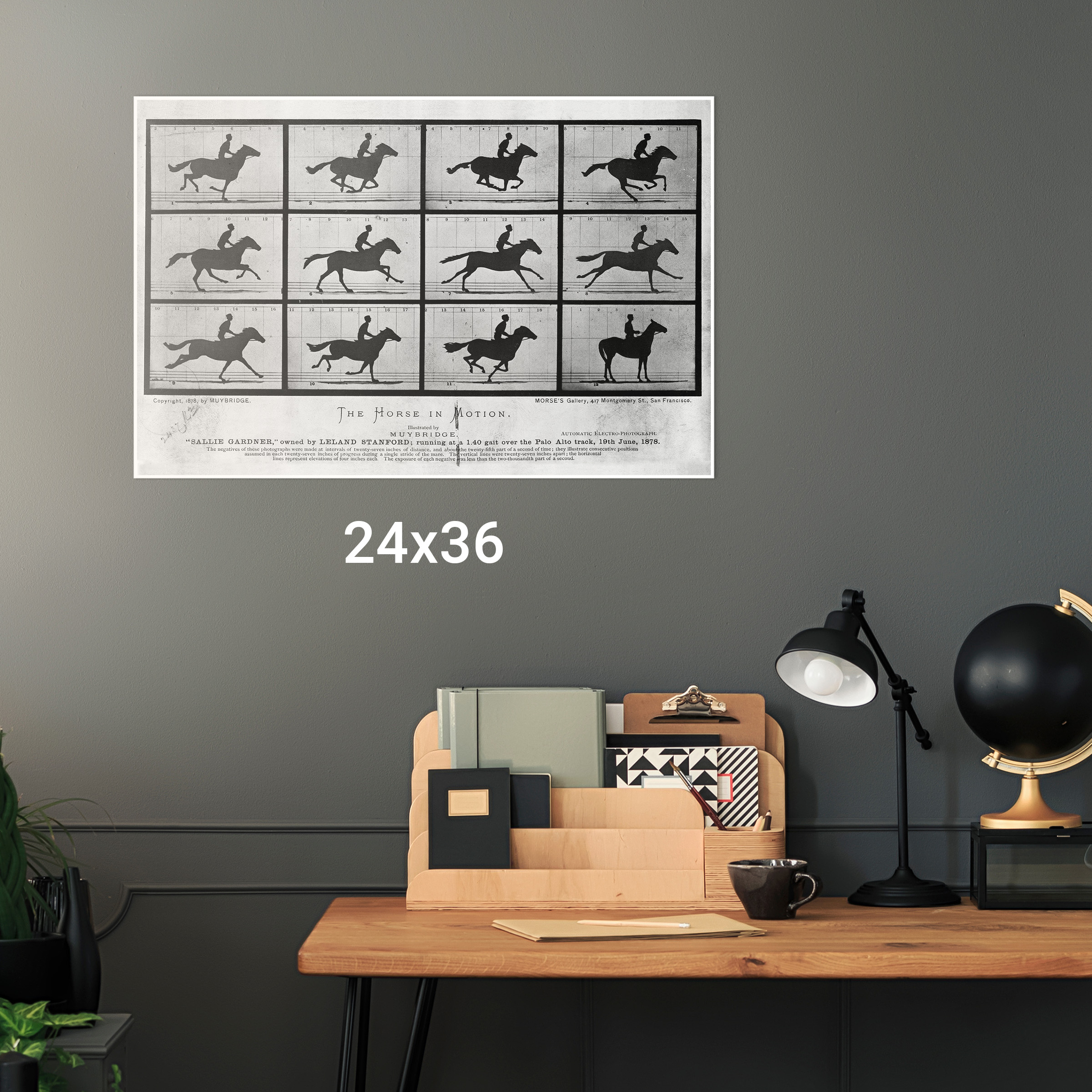 The Horse in Motion, Photographs by Eadweard Muybridge, 1876 - Picture 12 of 12
